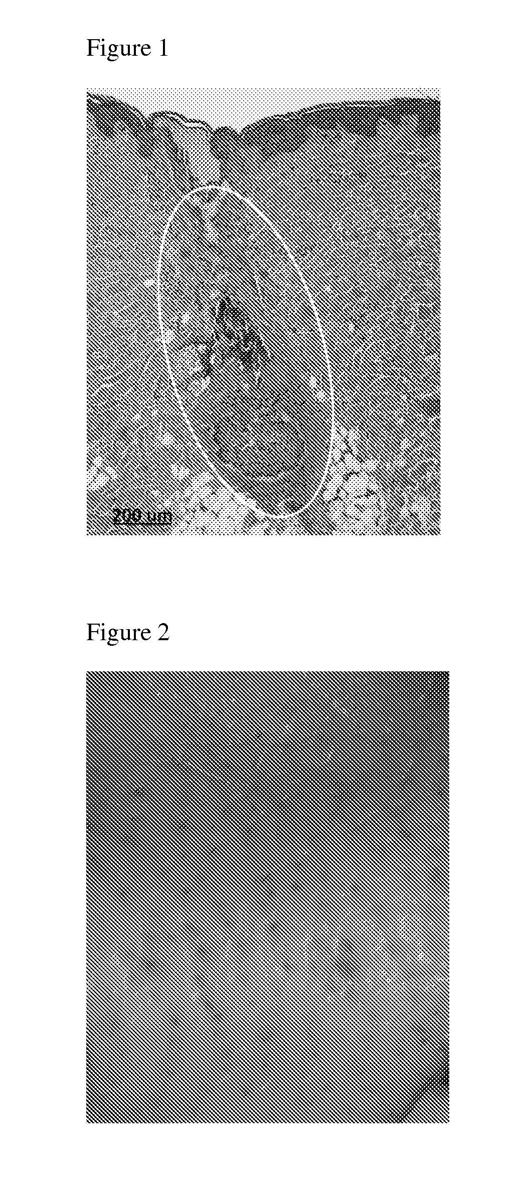 Compositions and methods comprising energy absorbing compoundfs for follicular delivery