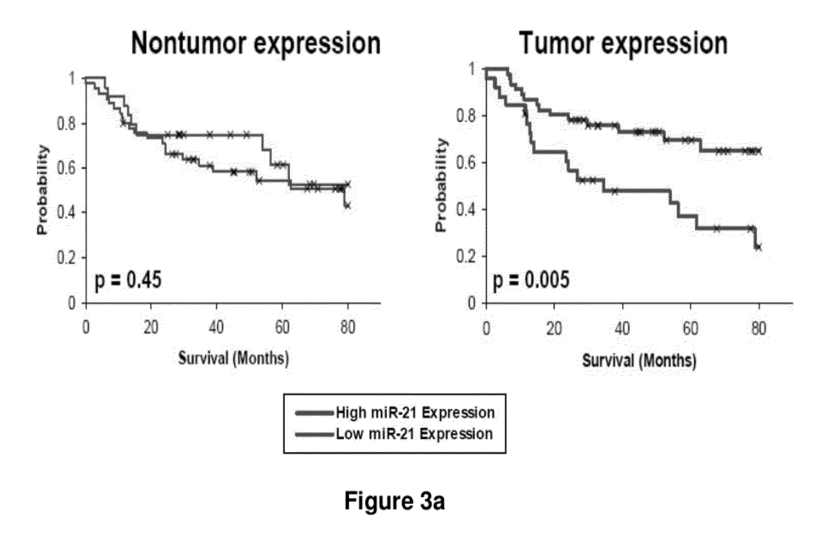 Method of predicting chemotherapy effectiveness in colon adenocarcinoma patients, using mir-21