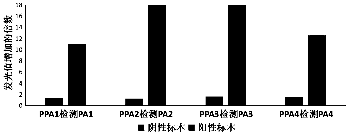 Detecting method for accurately and rapidly detecting target superbacteria