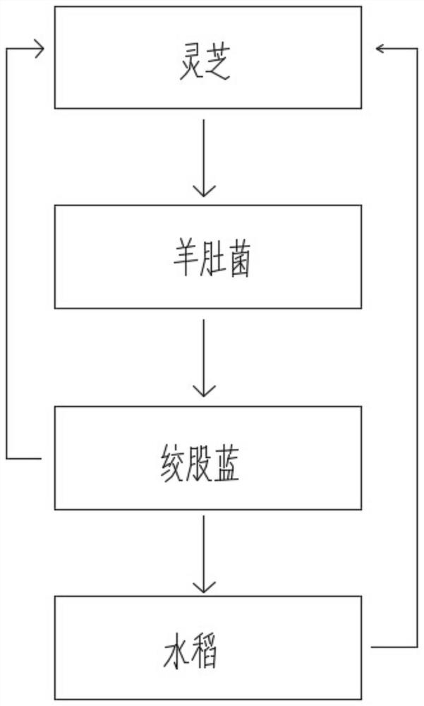 A kind of crop rotation method of Ganoderma lucidum