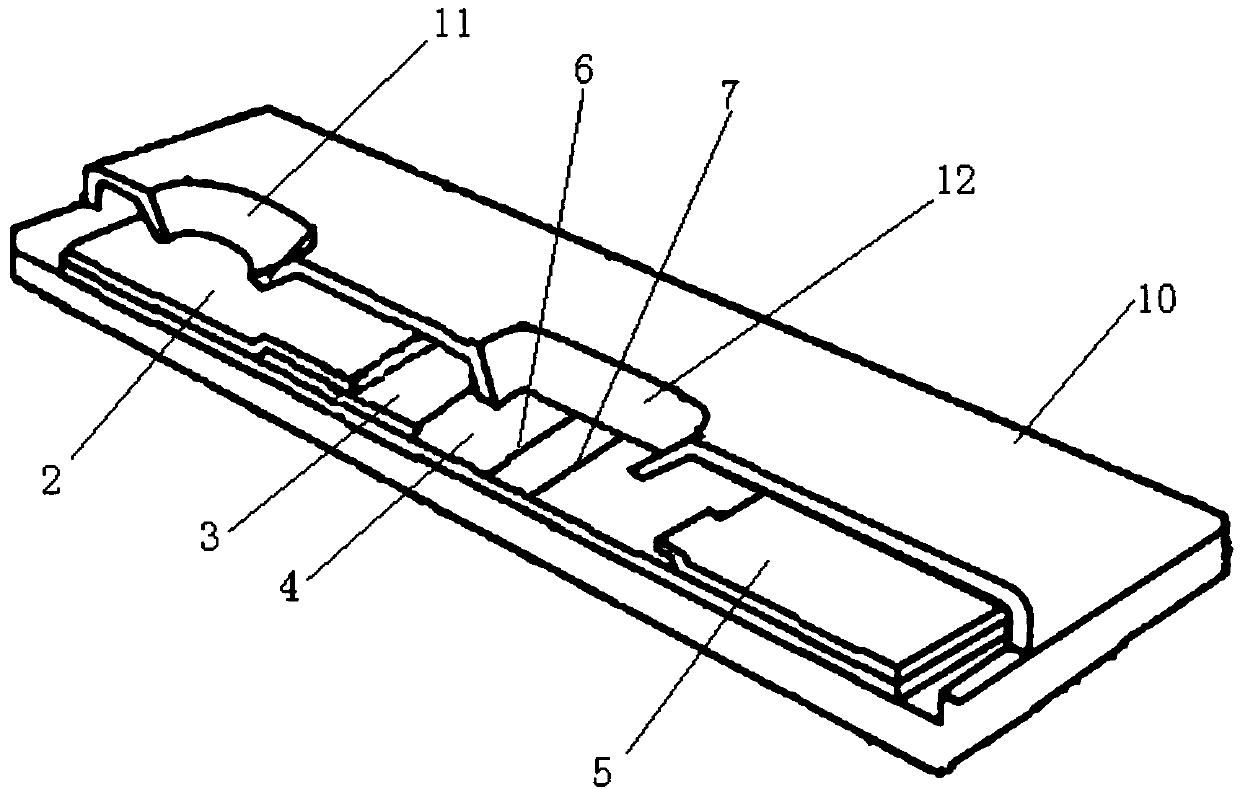 Quick quantitative determination card for canine parvovirus antibody and use method thereof