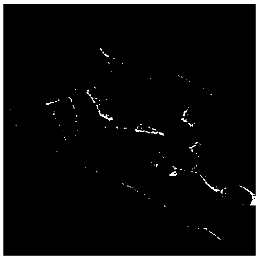 Preparation method for hydroxylapatite with controllable grain size