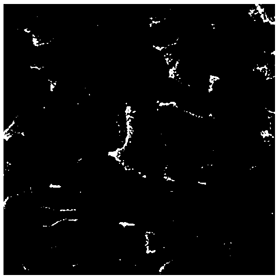 Preparation method for hydroxylapatite with controllable grain size