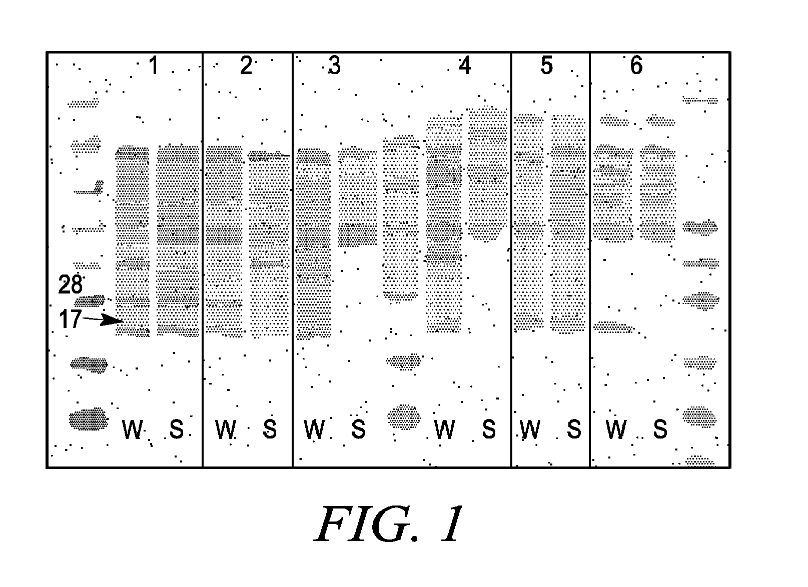 Isolated phospholipid-protein particles