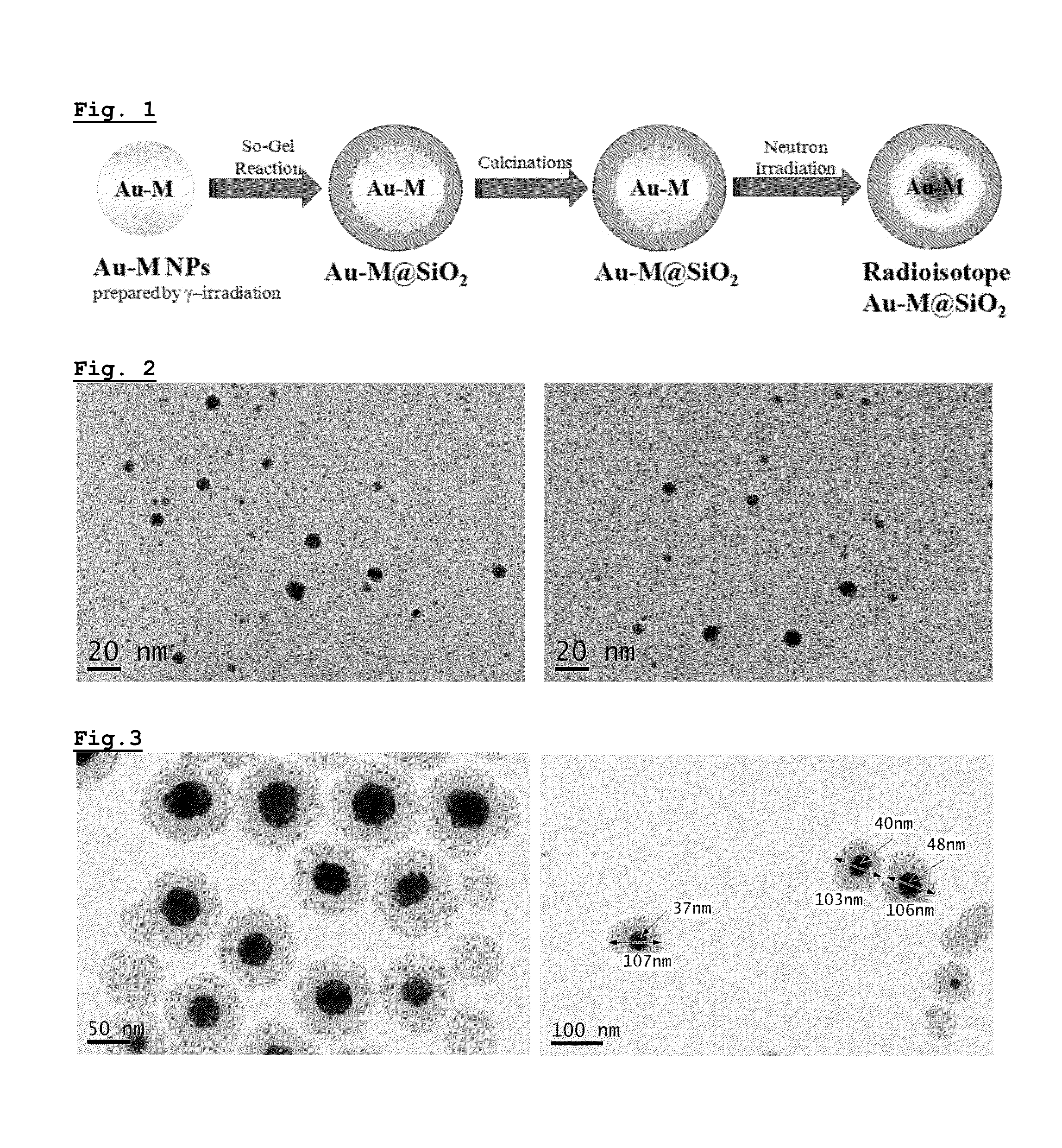 Heteronuclear radioisotope nanoparticle of core-shell structure and preparation method thereof