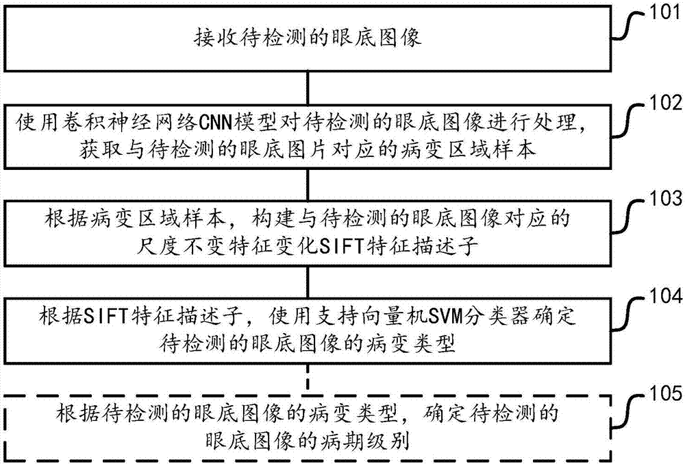 Diabetic retinopathy sign detection method and device