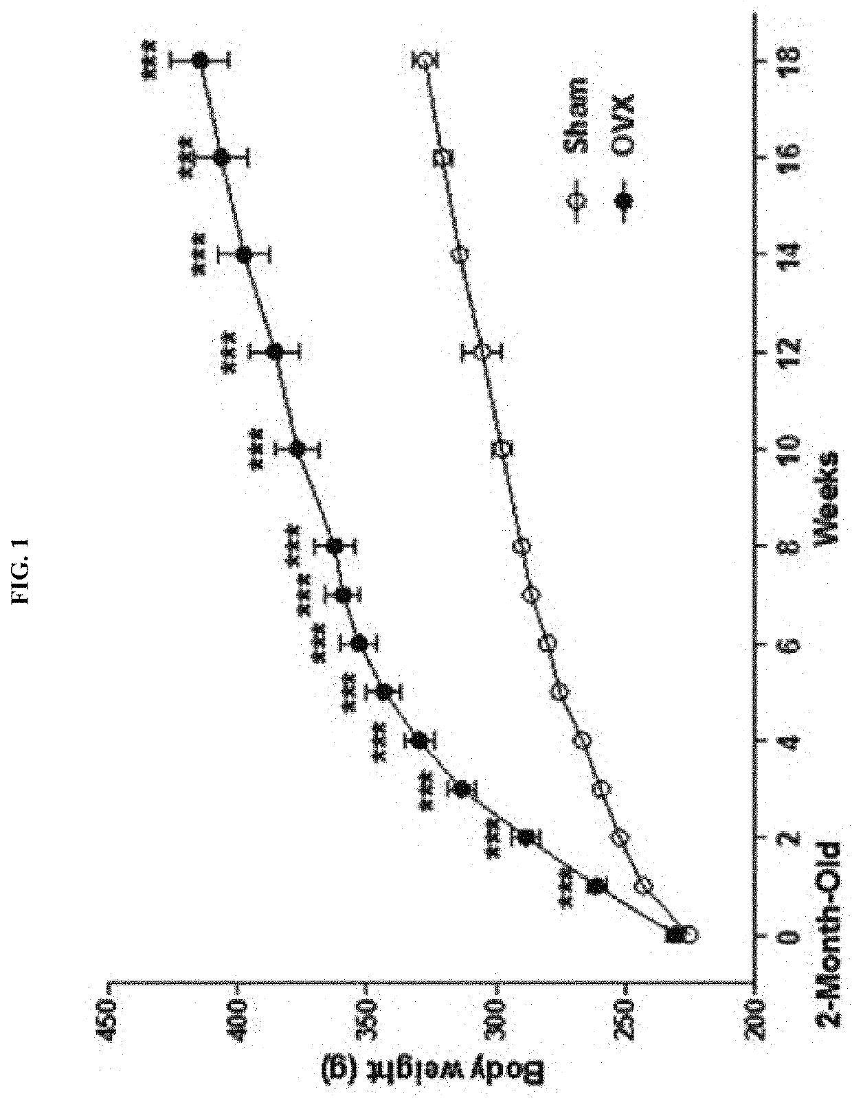 Composition for preventing or treating menopause, containing <i>Lactobacillus intestinalis</i>