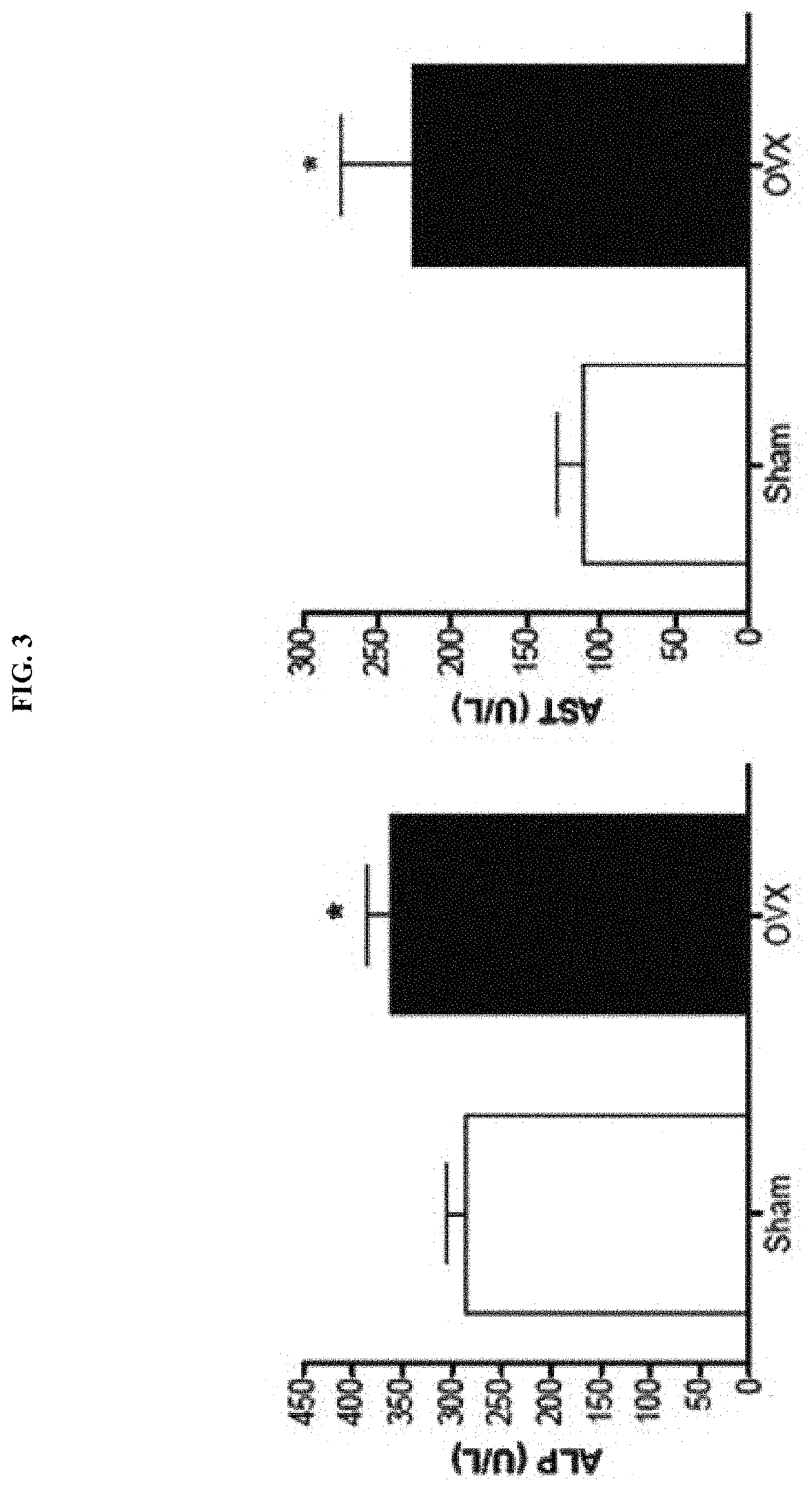 Composition for preventing or treating menopause, containing <i>Lactobacillus intestinalis</i>