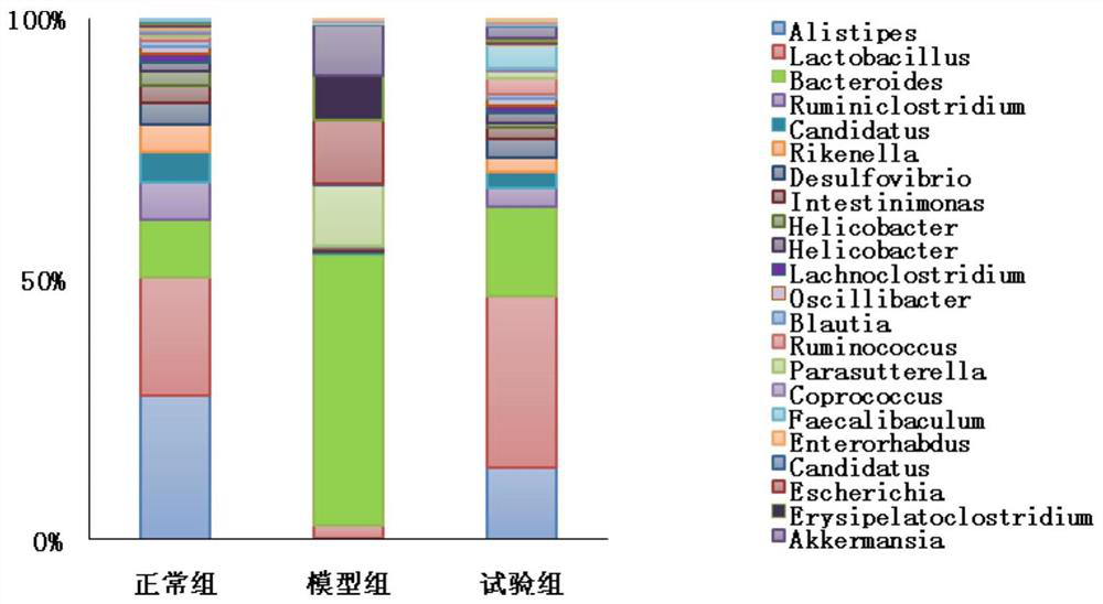 A kind of Lactobacillus helveticus bacterial strain and application thereof