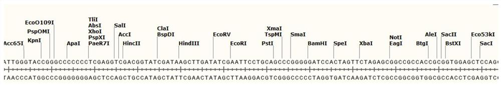 Method for constructing yeast cell-based gene detection standard and its kit