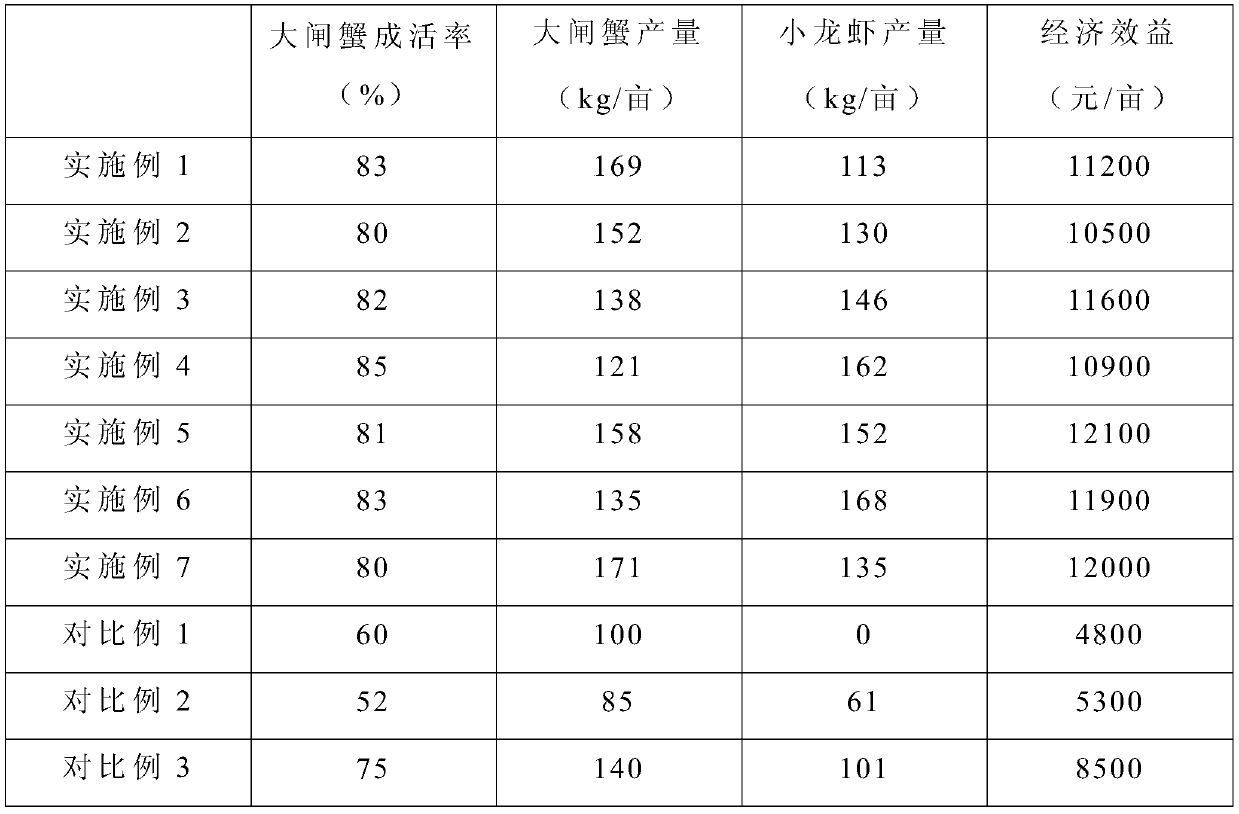 Lobster and crab mixed breeding continuous cropping aquaculture method