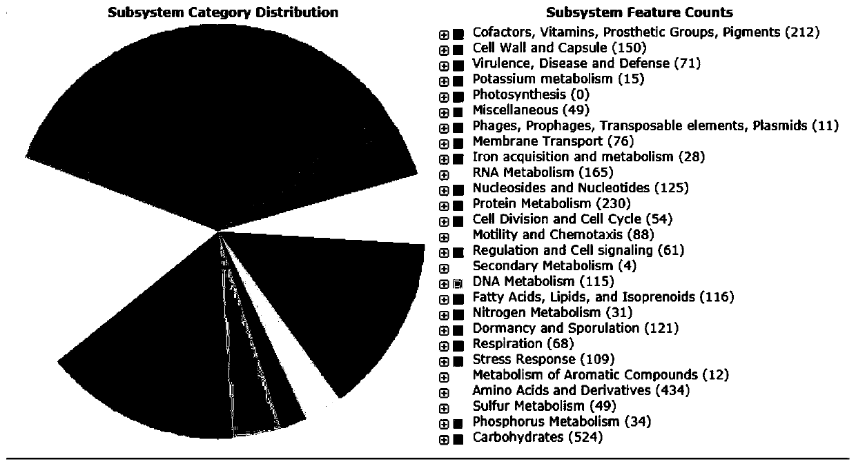 High-efficiency flavor-enhancing strain and application thereof in improving tobacco quality