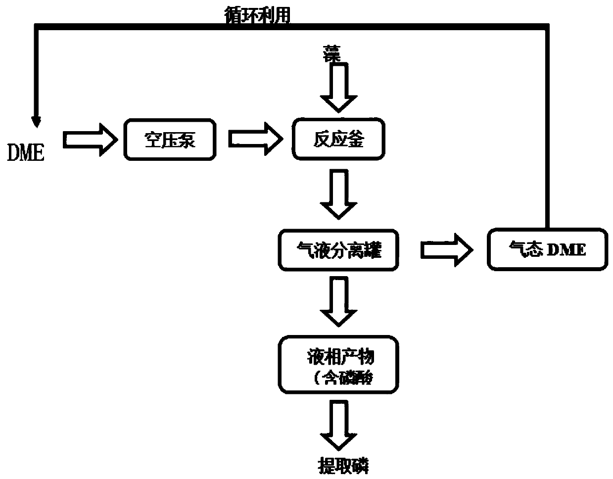 Method for extracting phosphate ester from alga mud by using dimethyl ether