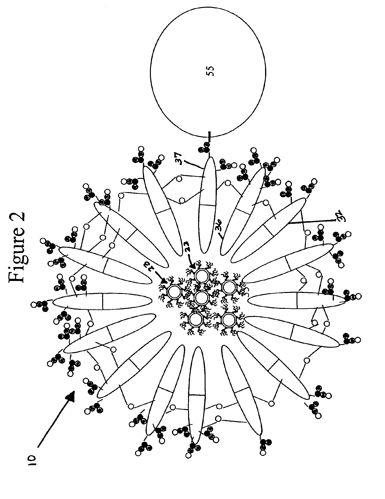 Water-stable photoluminescent semiconductor nanocrystal complexes and method of making same