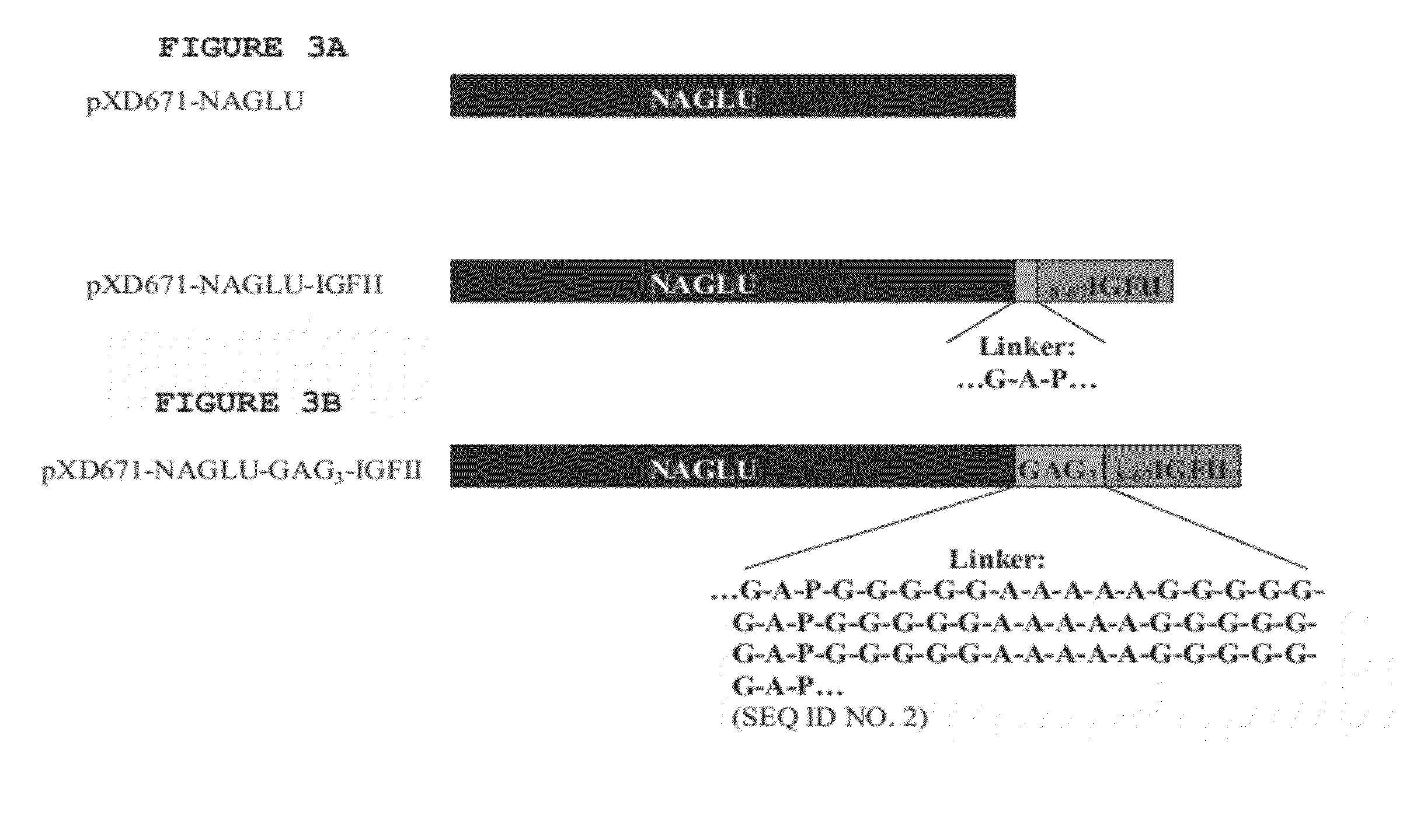 Peptide linkers for polypeptide compositions and methods for using same