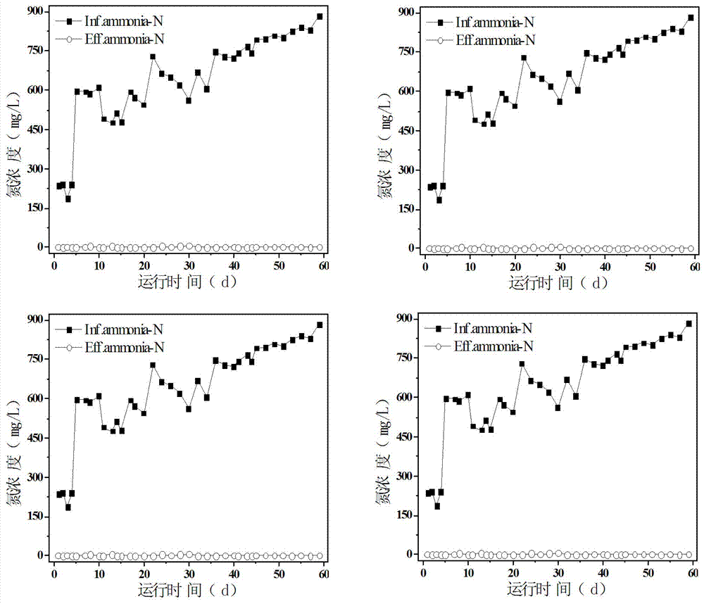 Wastewater treatment method capable of realizing high-efficient completely coupled autotrophic nitrogen removal