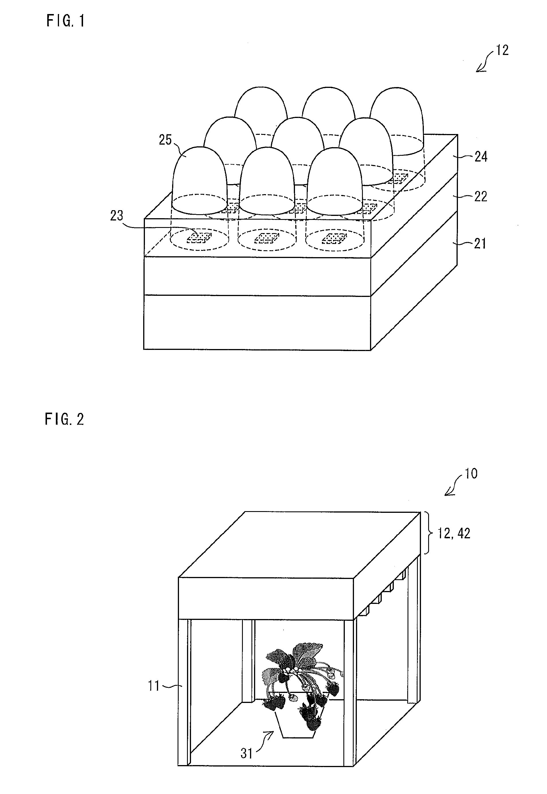 Illumination apparatus and plant cultivation apparatus