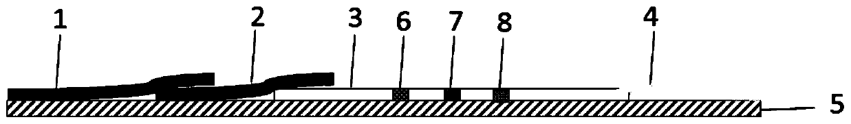 Duplex test strip for detecting morphine and ketamine as well as preparation method and application method of duplex test strip