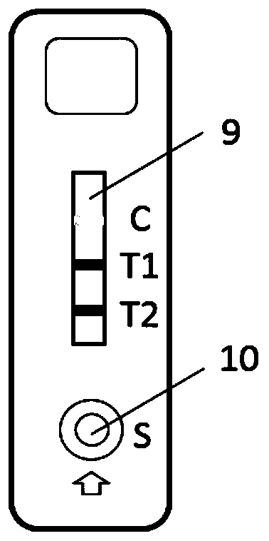 Duplex test strip for detecting morphine and ketamine as well as preparation method and application method of duplex test strip