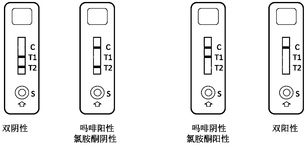 Duplex test strip for detecting morphine and ketamine as well as preparation method and application method of duplex test strip