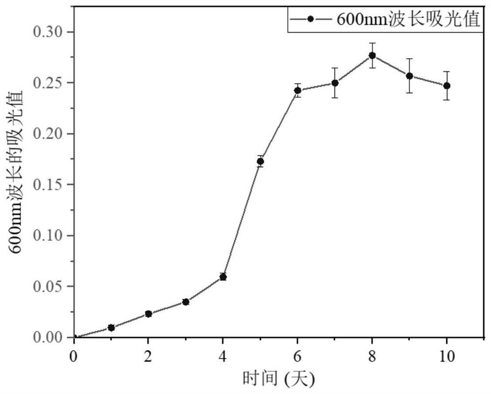 Pure culture method of anaerobic microorganisms