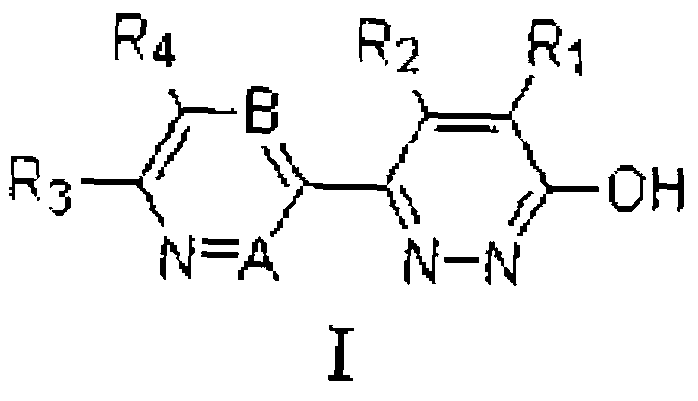 Pyridazinone derivatives and preparation method and application thereof