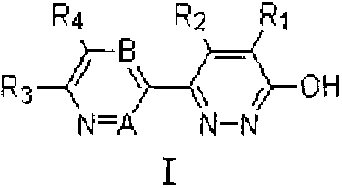 Pyridazinone derivatives and preparation method and application thereof