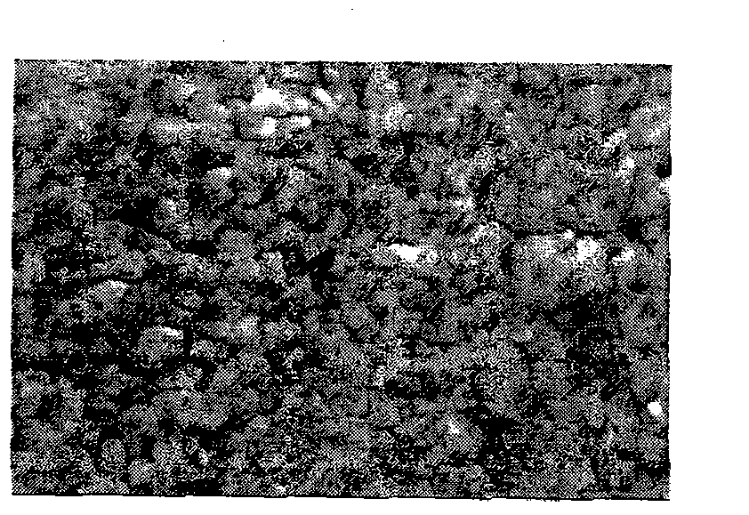 Process for manufacturing a galvannealed steel sheet by DFF regulation