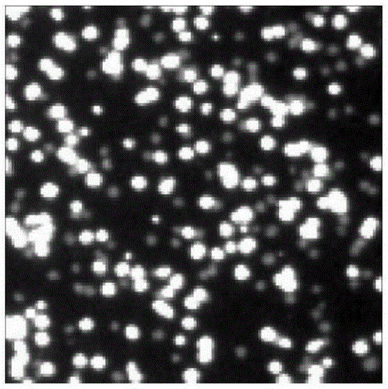 Denoising method for high-throughput gene sequencing image