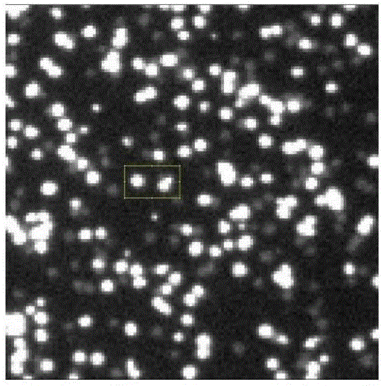 Denoising method for high-throughput gene sequencing image