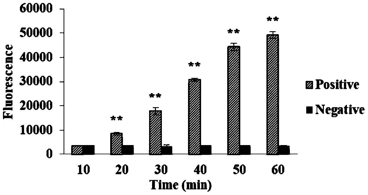 Reaction system and kit for detecting African swine fever virus nucleic acid and application thereof