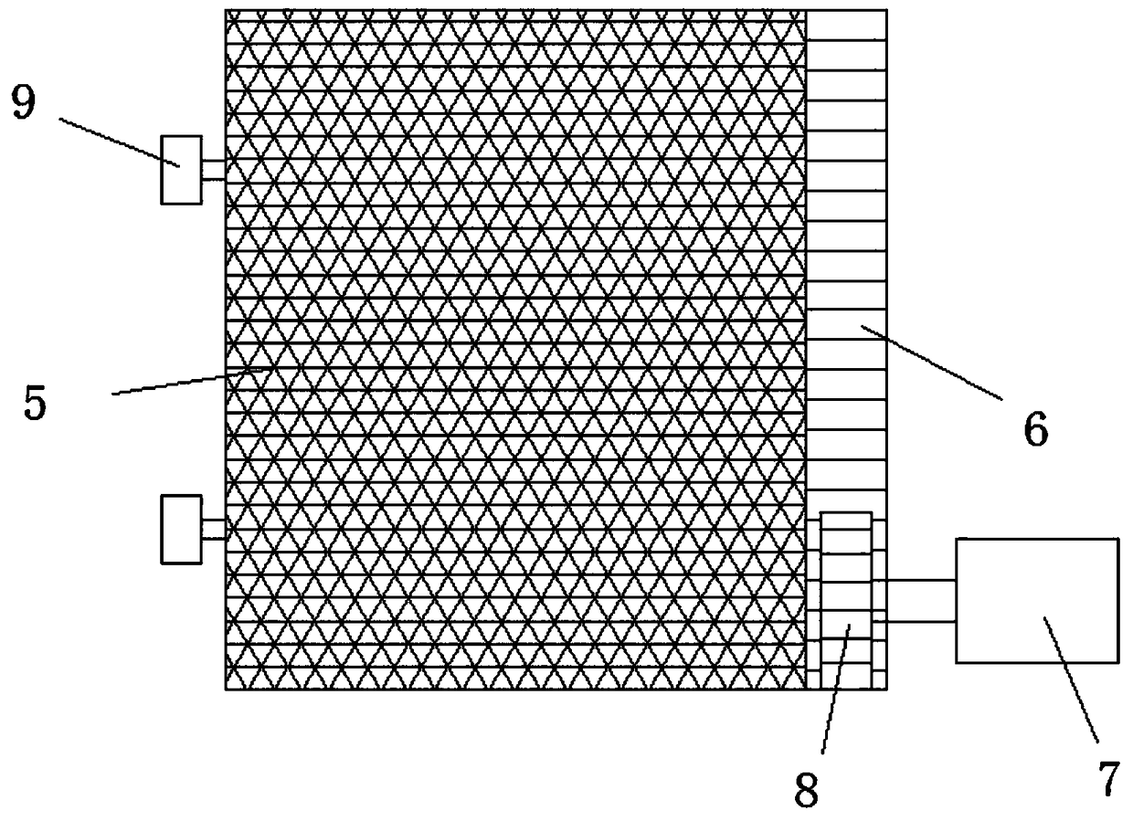 Convenient-to-maintain air purifying device for denitration