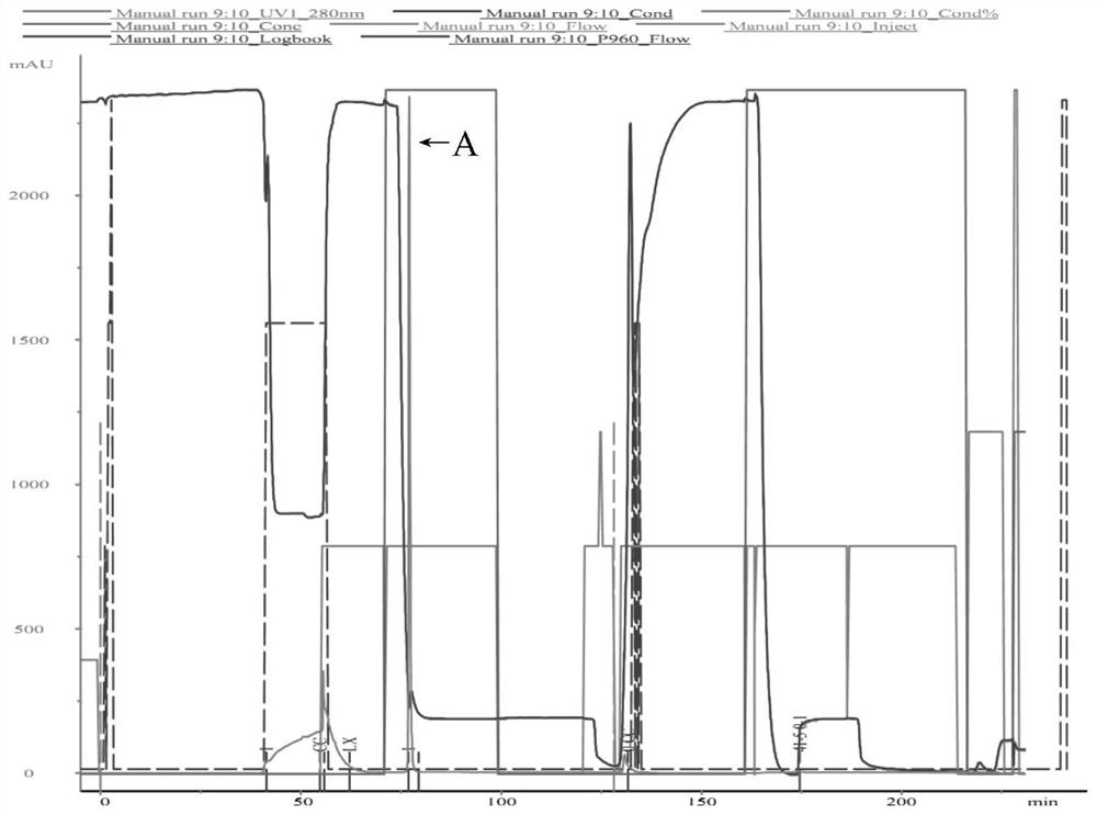 Pig trypsinogen mutant and expression thereof in pichia pastoris