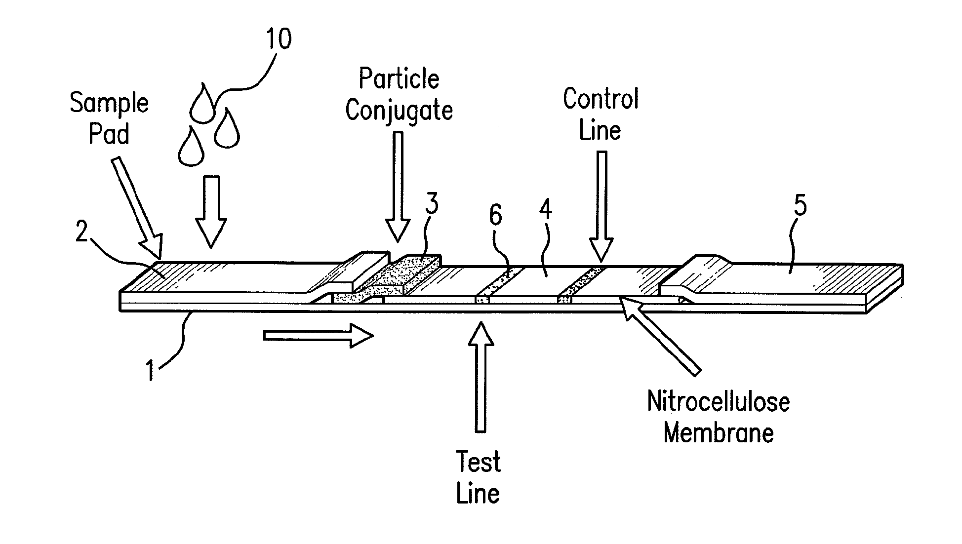 Sensor integration in lateral flow immunoassays and its applications