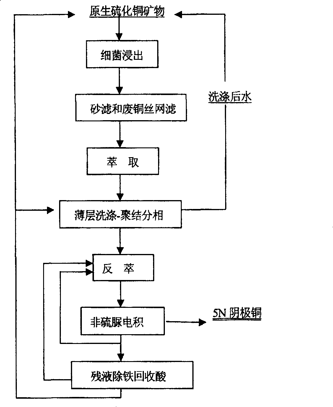 Method of preparing high purity copper by bacteria of primary leaching sulfide ore