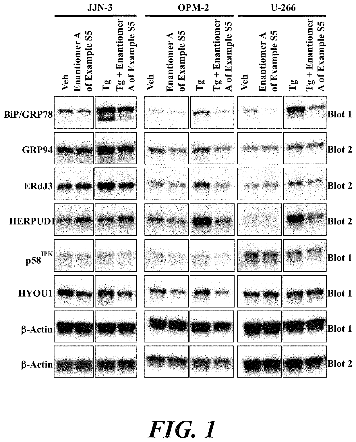 ATF6 inhibitors and uses thereof