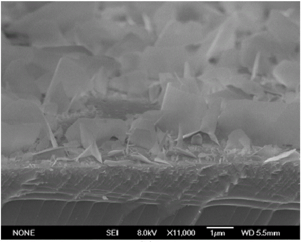 A kind of method for preparing cobalt oxide electrode of nano sheet structure