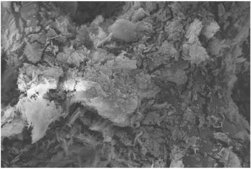 Preparation method of paliperidone palmitate