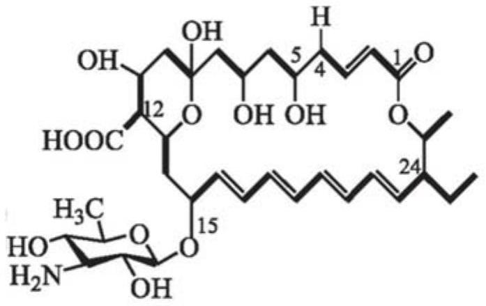 A kind of fungicide composition and its application