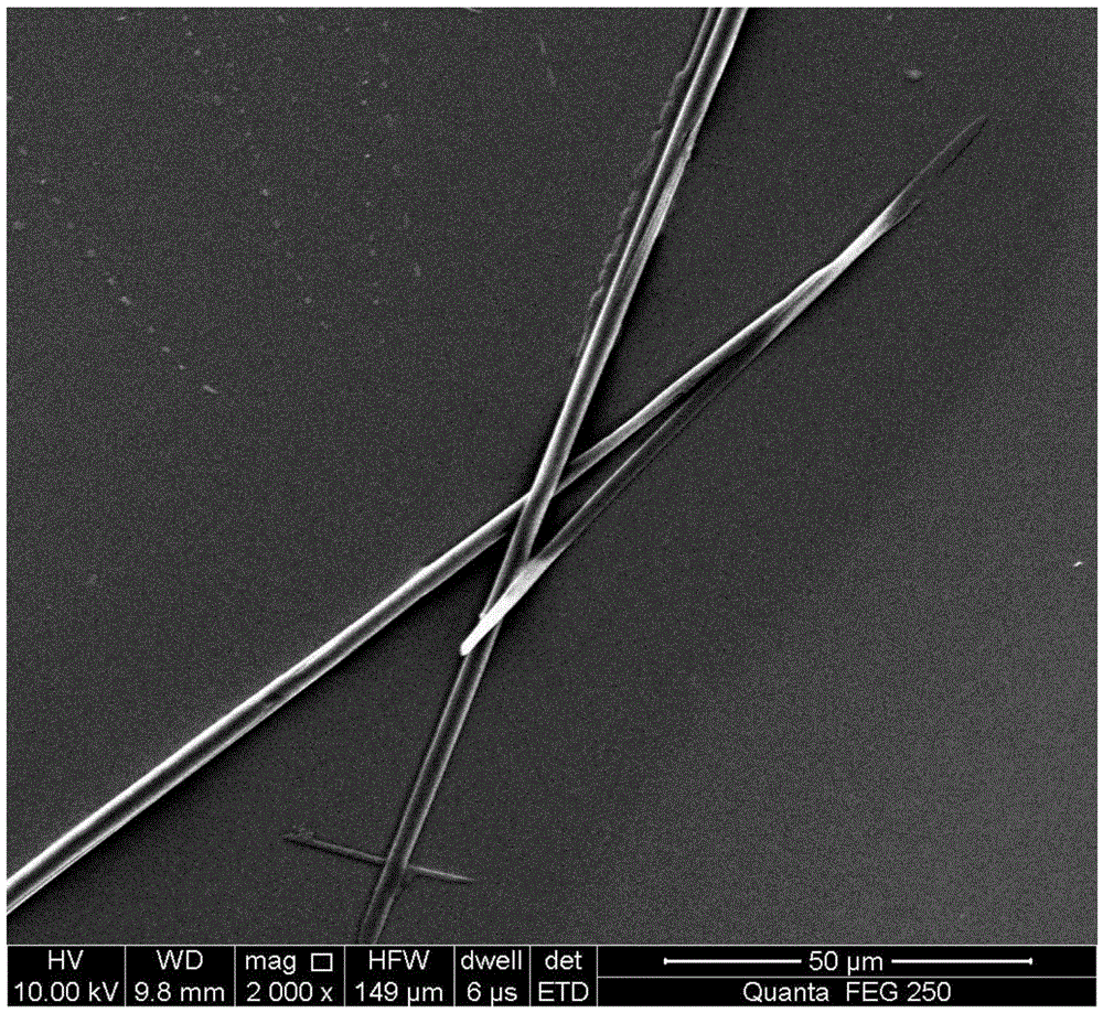 Gelator and preparation method thereof as well as supramolecular metal hydrogel using gelator and preparation method and application of supramolecular metal hydrogel