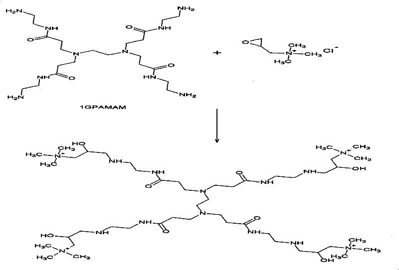 Dendriform cationic leather fixing agent and preparation method thereof