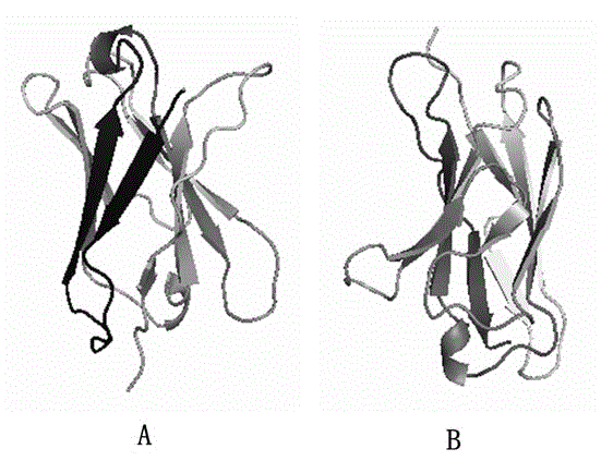 Human-derived insecticidal protein and preparation method and application thereof