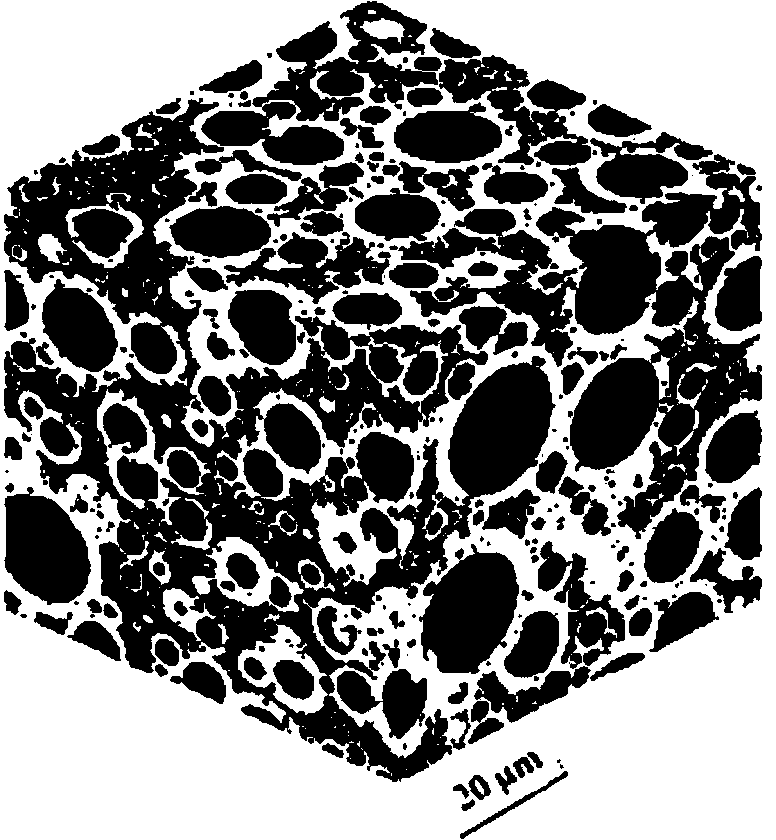 Construction method for ion diffusion model of cement based composite material