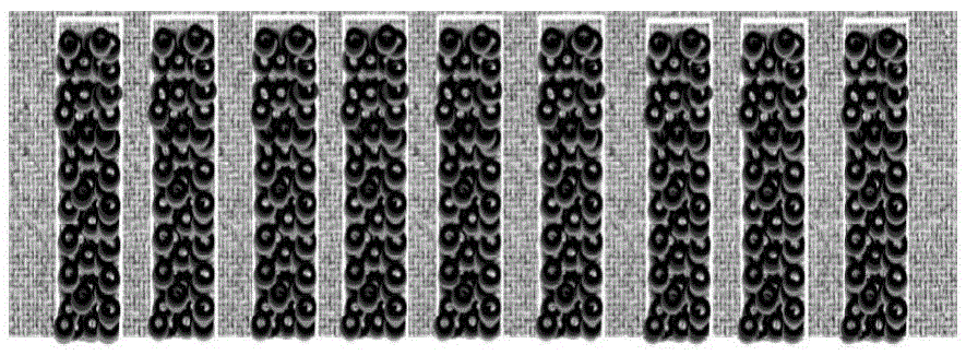 Foam graphene skeleton reinforced aluminum-base composite material and preparation method thereof