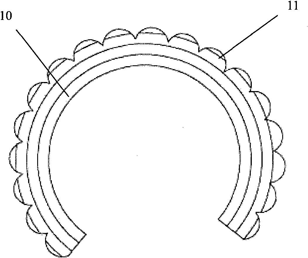 Penis implant and preparation method thereof