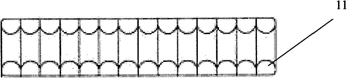 Penis implant and preparation method thereof