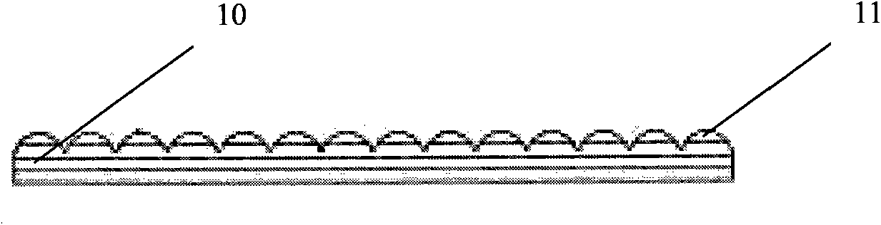 Penis implant and preparation method thereof