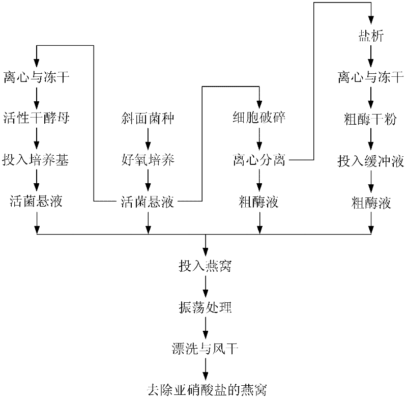 Method for removing nitrite in edible bird's nest by using microbial viable bacteria suspension and/or crude enzyme liquid and application