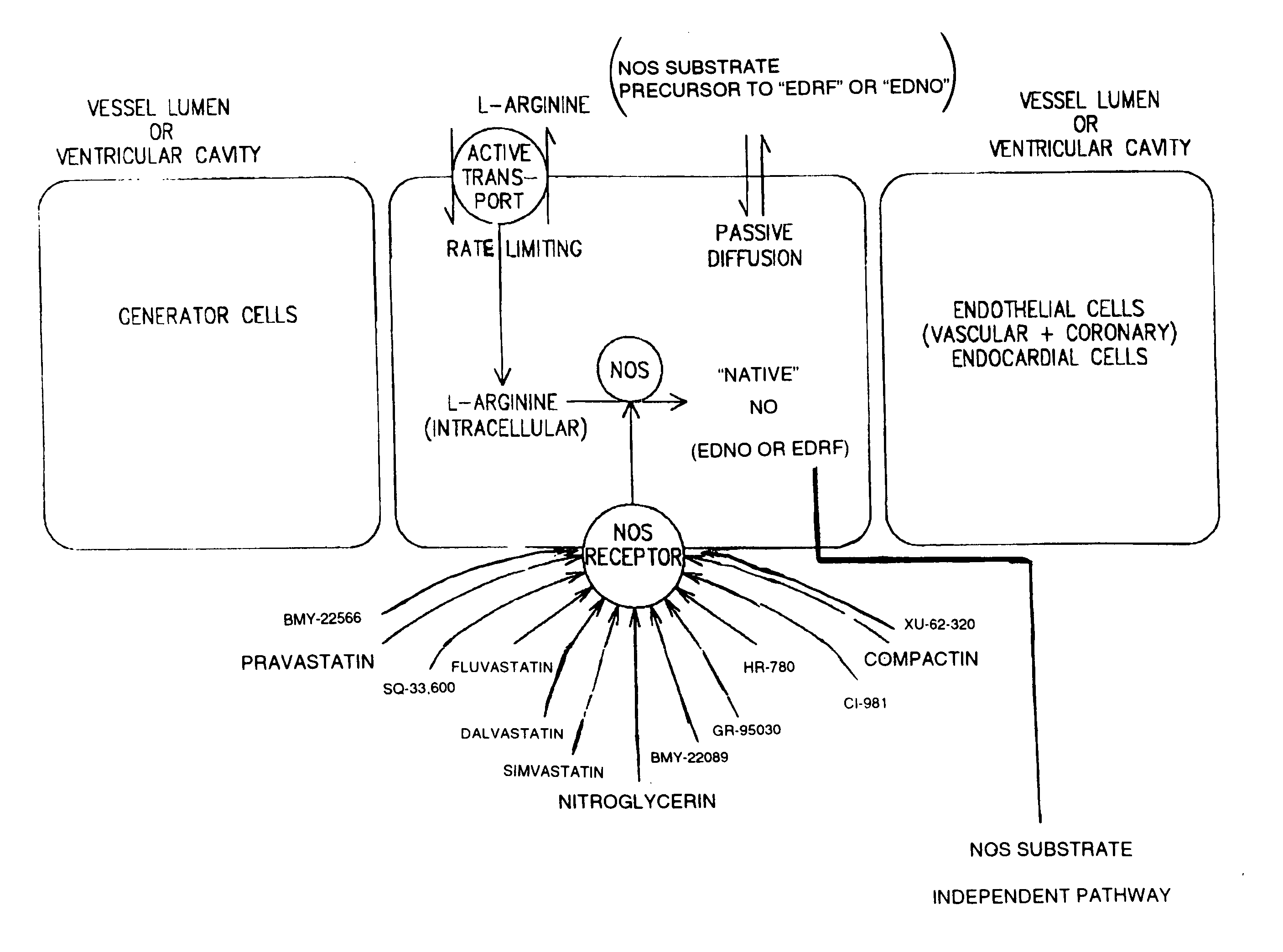 Method and formulation for treating vascular disease