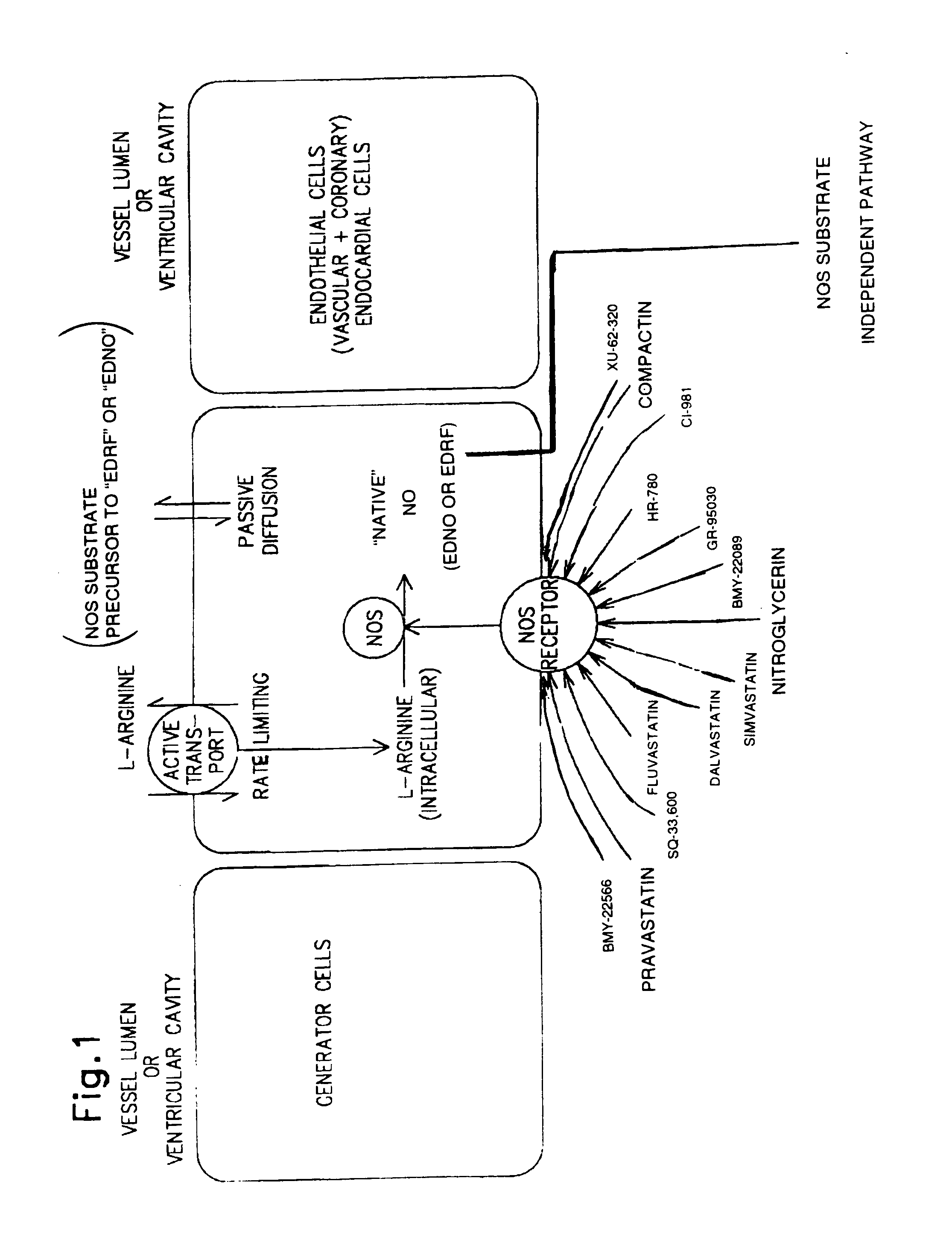 Method and formulation for treating vascular disease